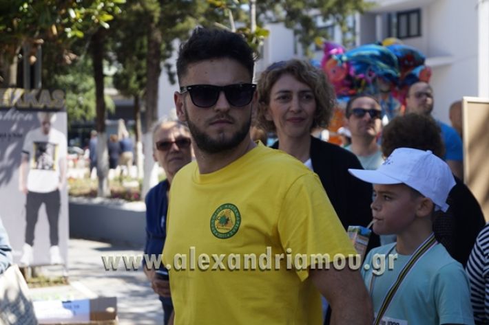 alexandriamou_1_alexandrinos_dromos151